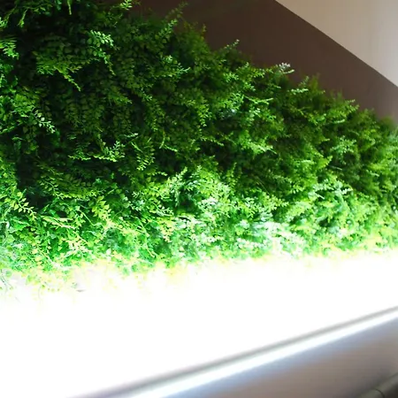 Casa de hóspedes Etna Hills Scalilli